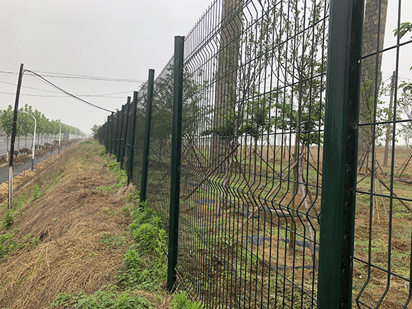 綠化帶護欄網(wǎng)圖片2