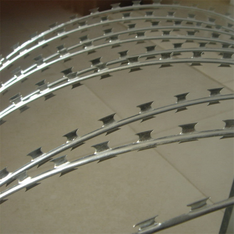 刀片刺網案例展示圖片4