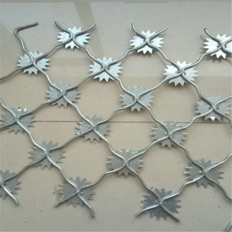 梅花刺隔離網案例展示圖片1 梅花刺隔離網案例展示圖片1