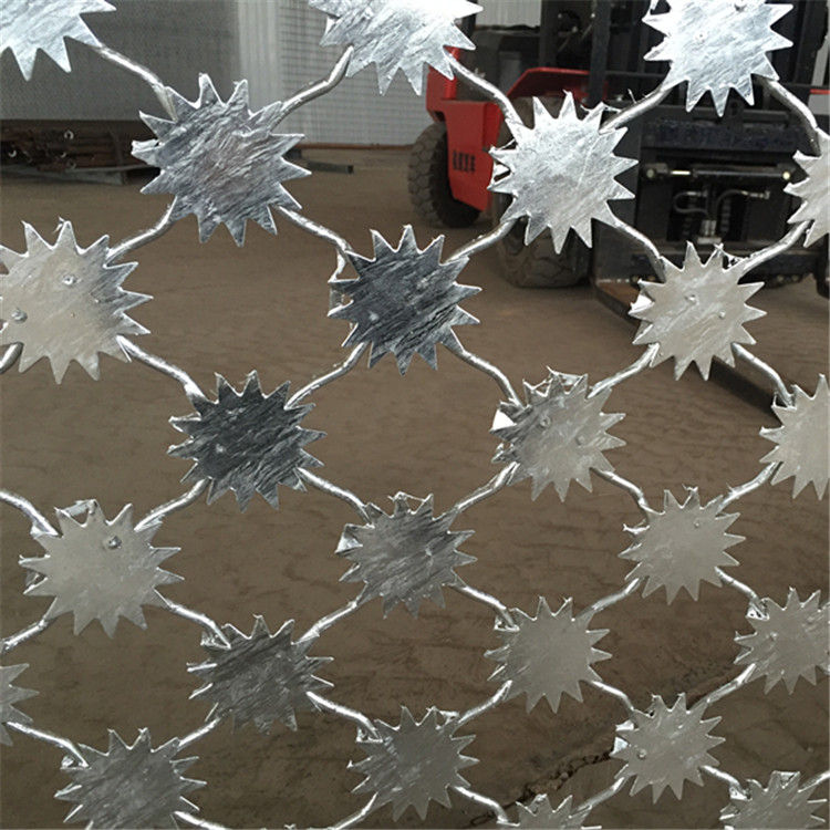 梅花刺隔離網案例展示圖片3 梅花刺隔離網案例展示圖片3